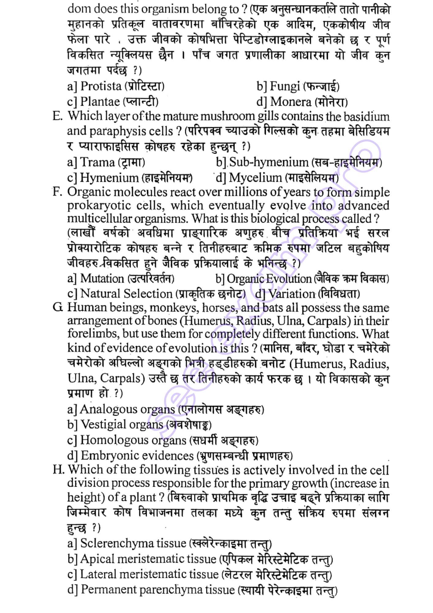Paper Page 2