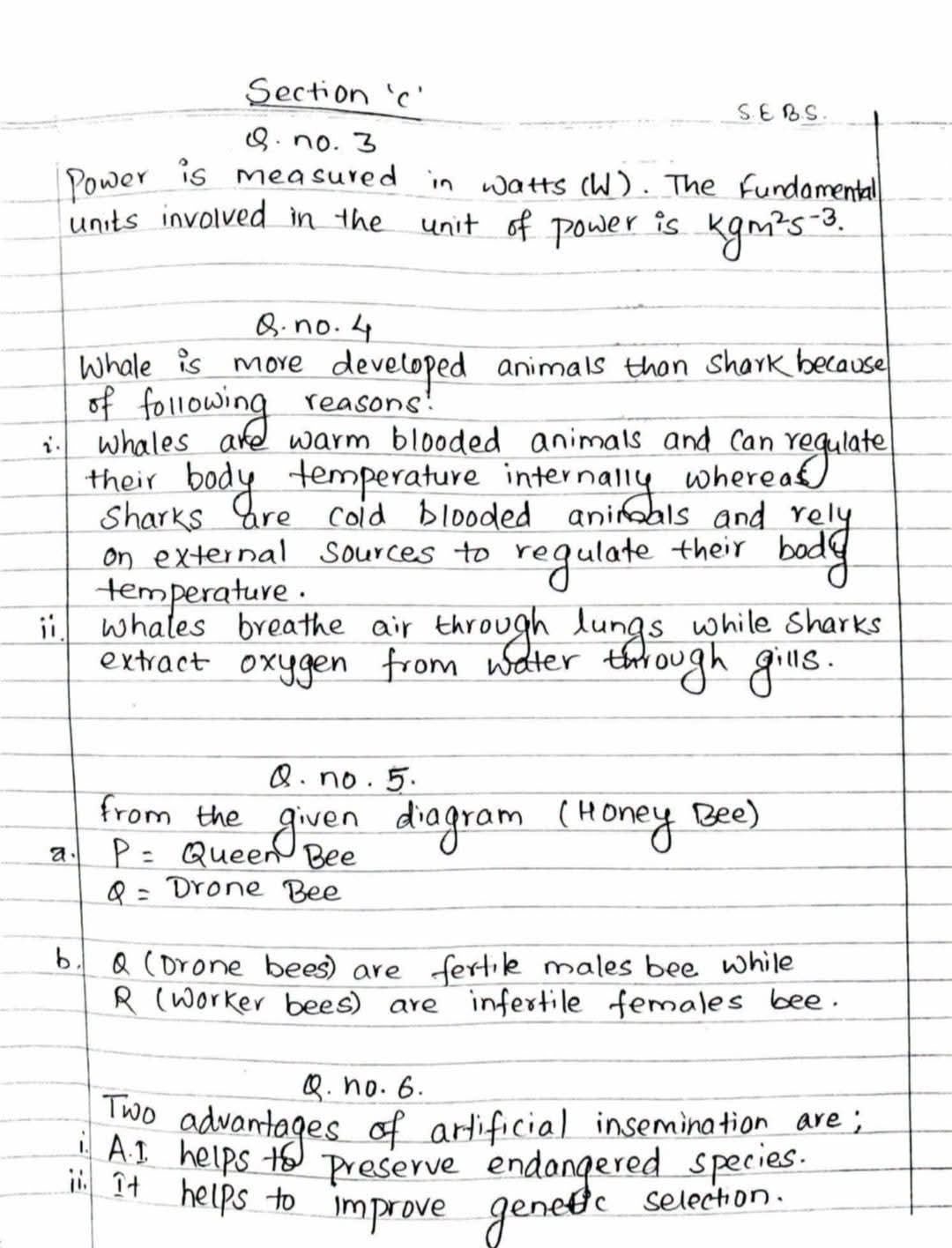 Paper Page 12