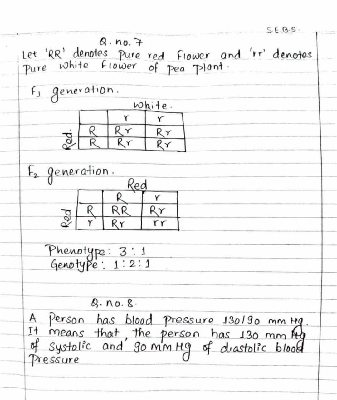 Paper Page 13