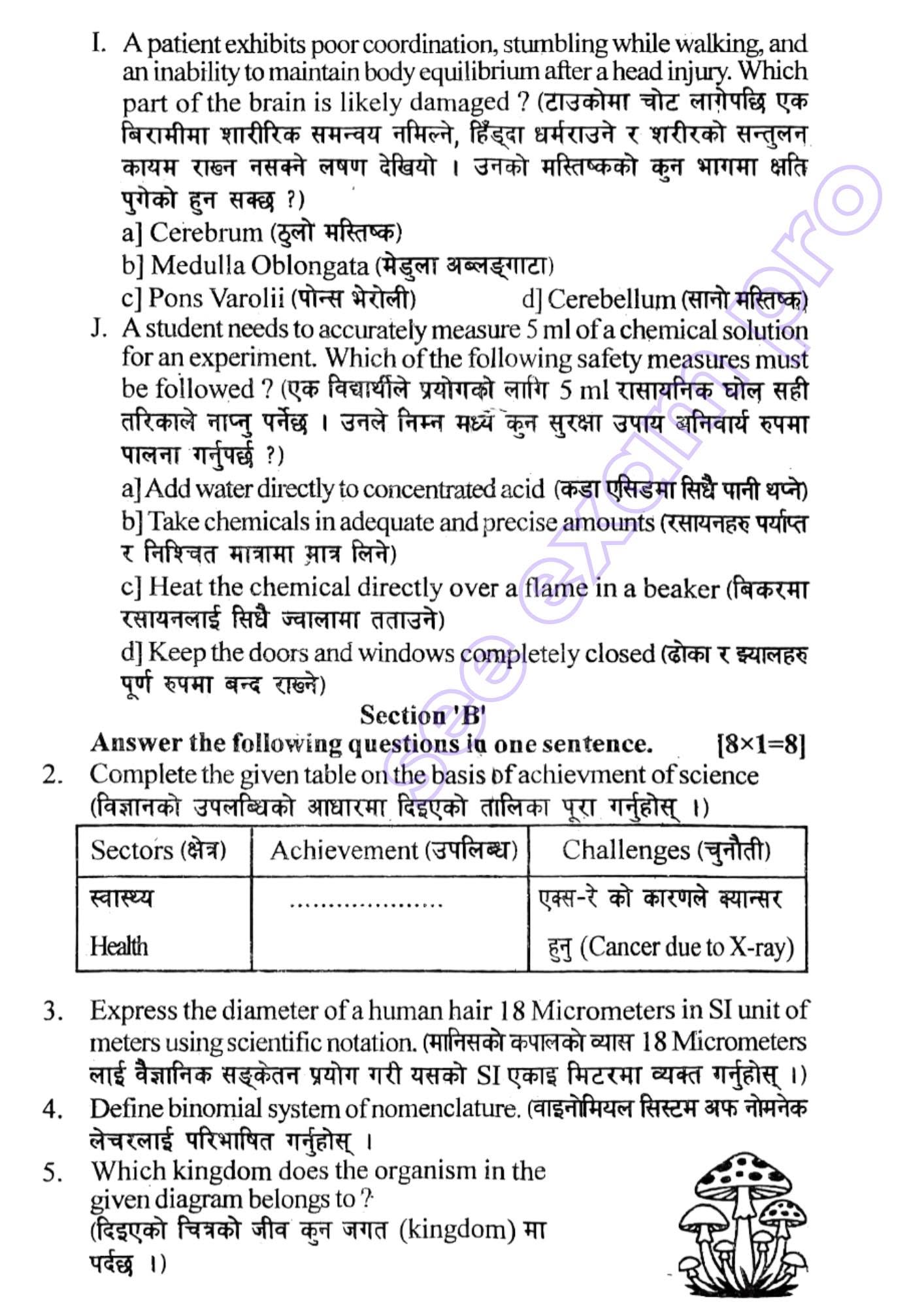 Paper Page 3