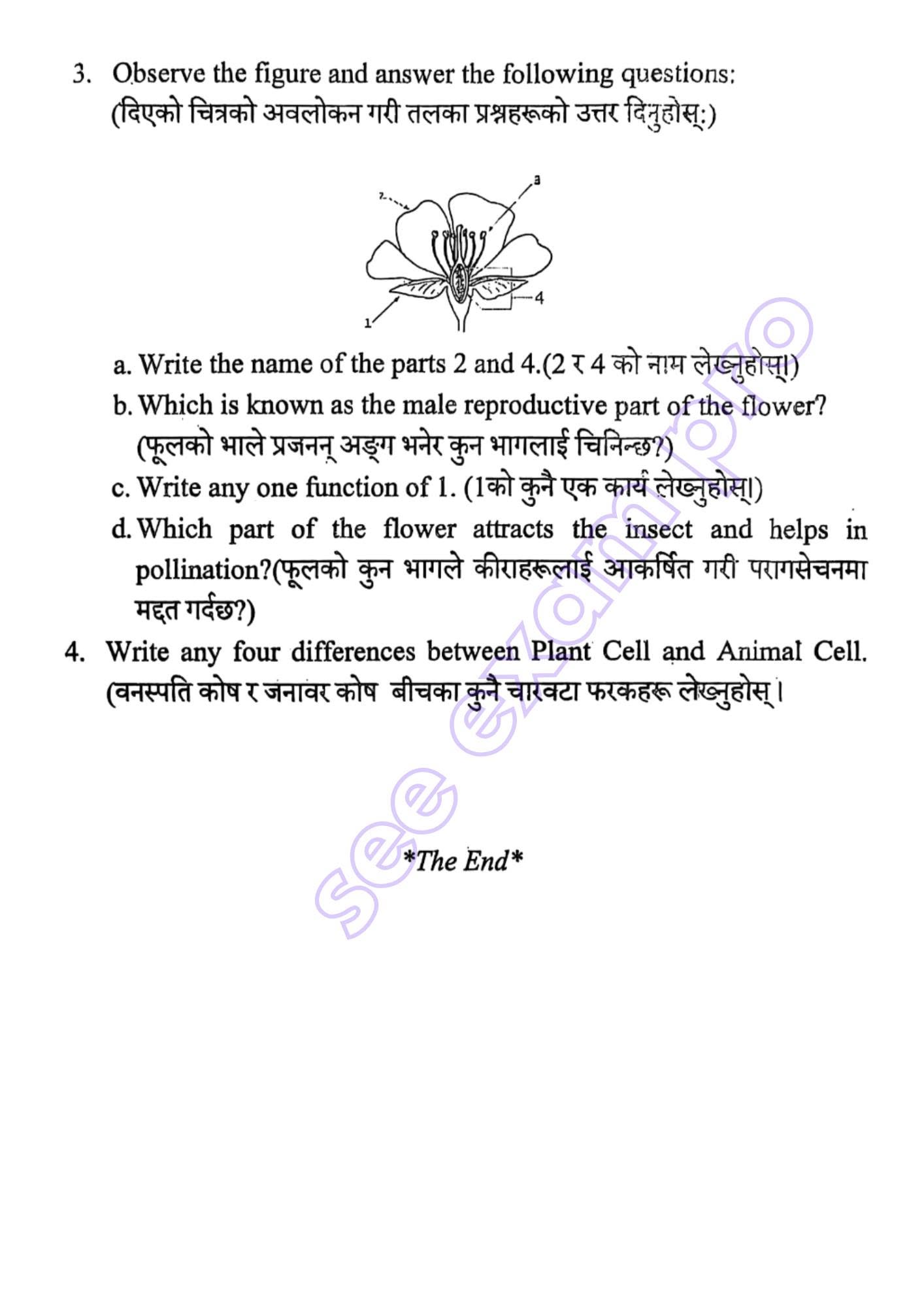 Paper Page 4
