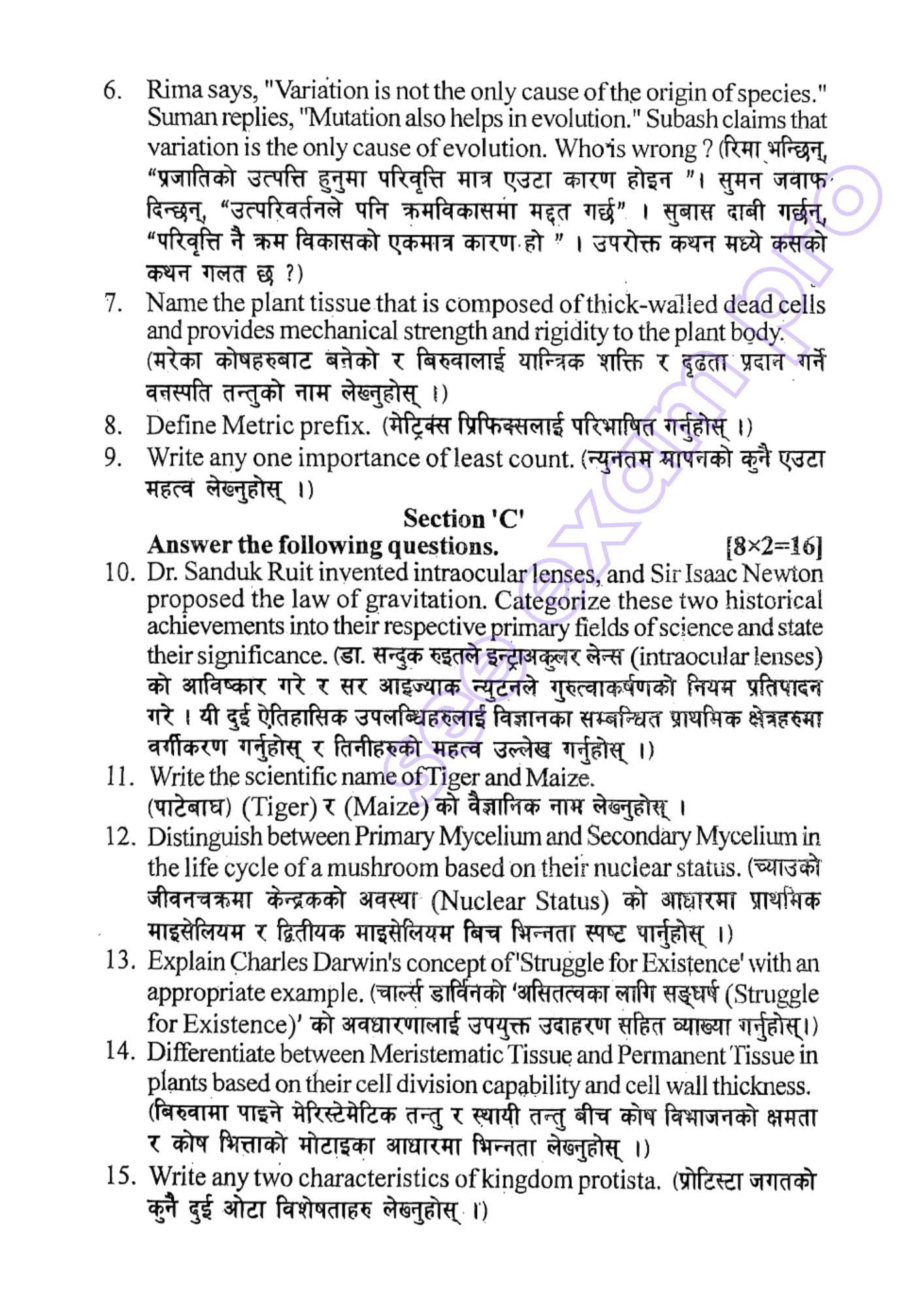 Paper Page 4