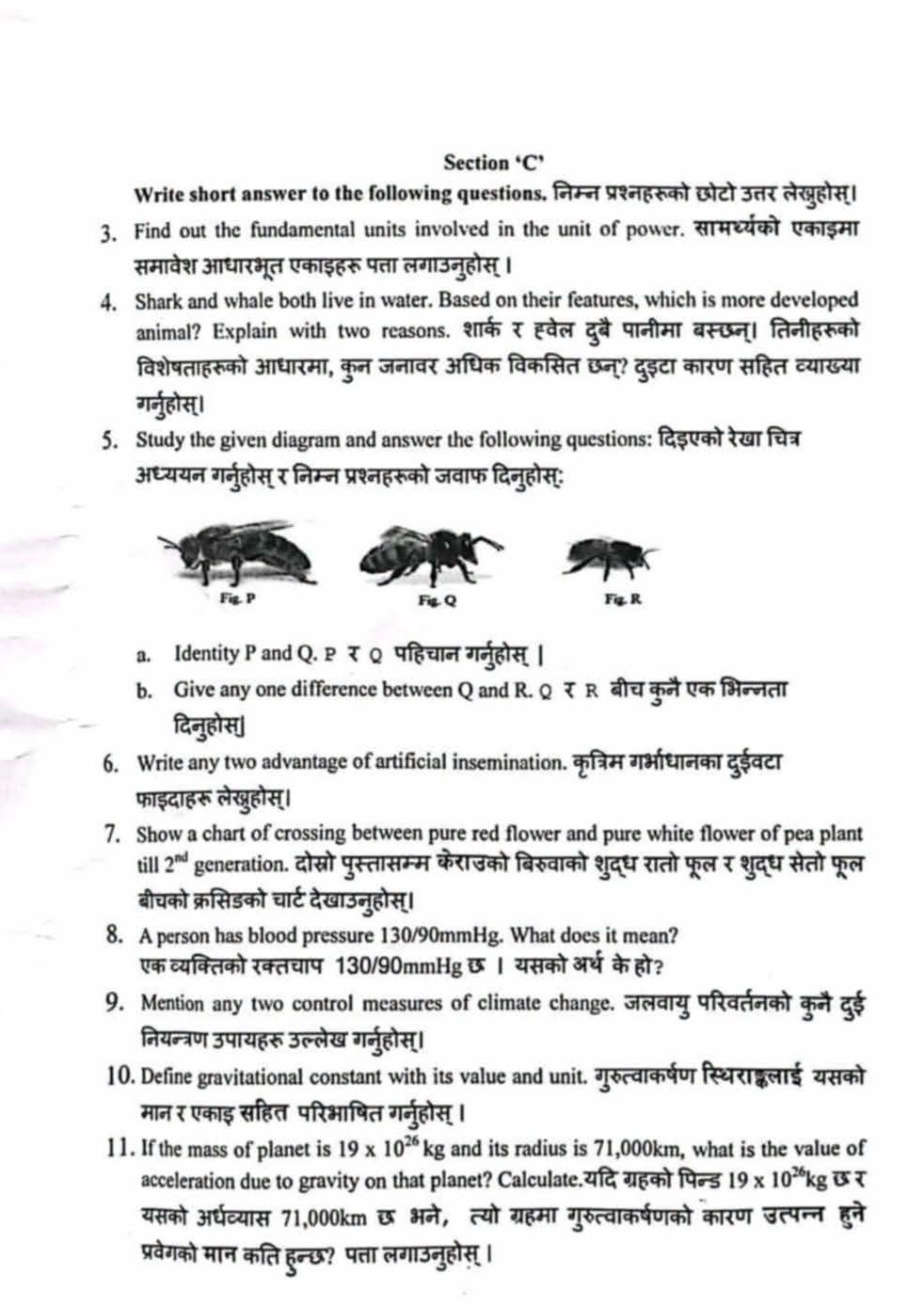 Paper Page 4