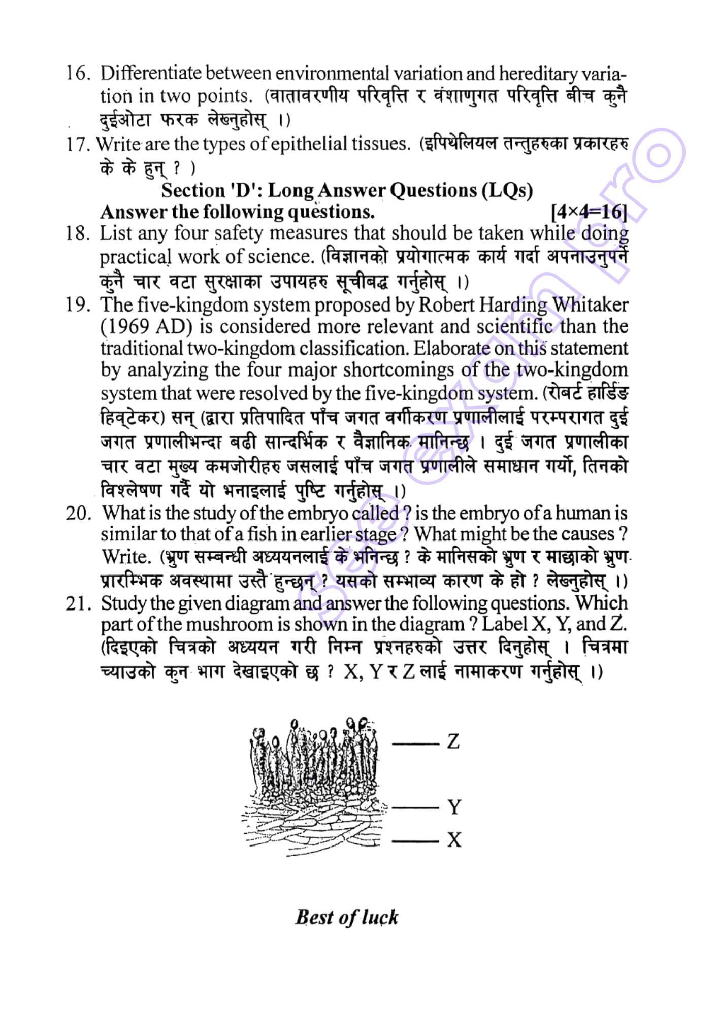 Paper Page 5
